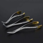 Dentistry Root Fragment Tooth Extraction Forceps Pliers Instrument Dental Curved Maxillary Mandibular Tool