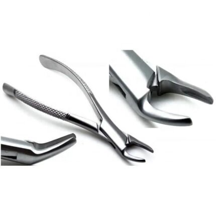 Dental Extracting Root Forceps